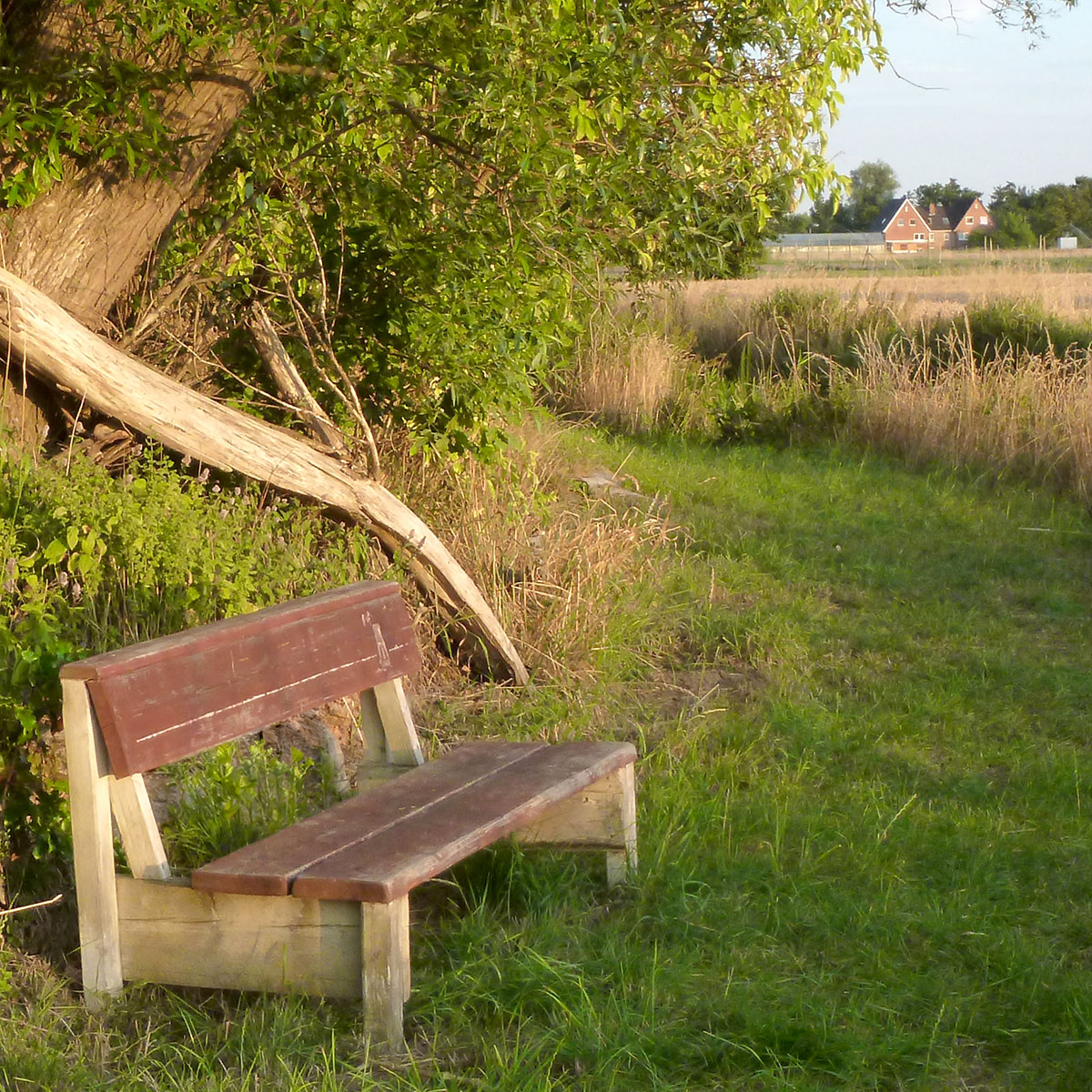 Bequeme und robuste Sitzbank zum gemütlich abhängen